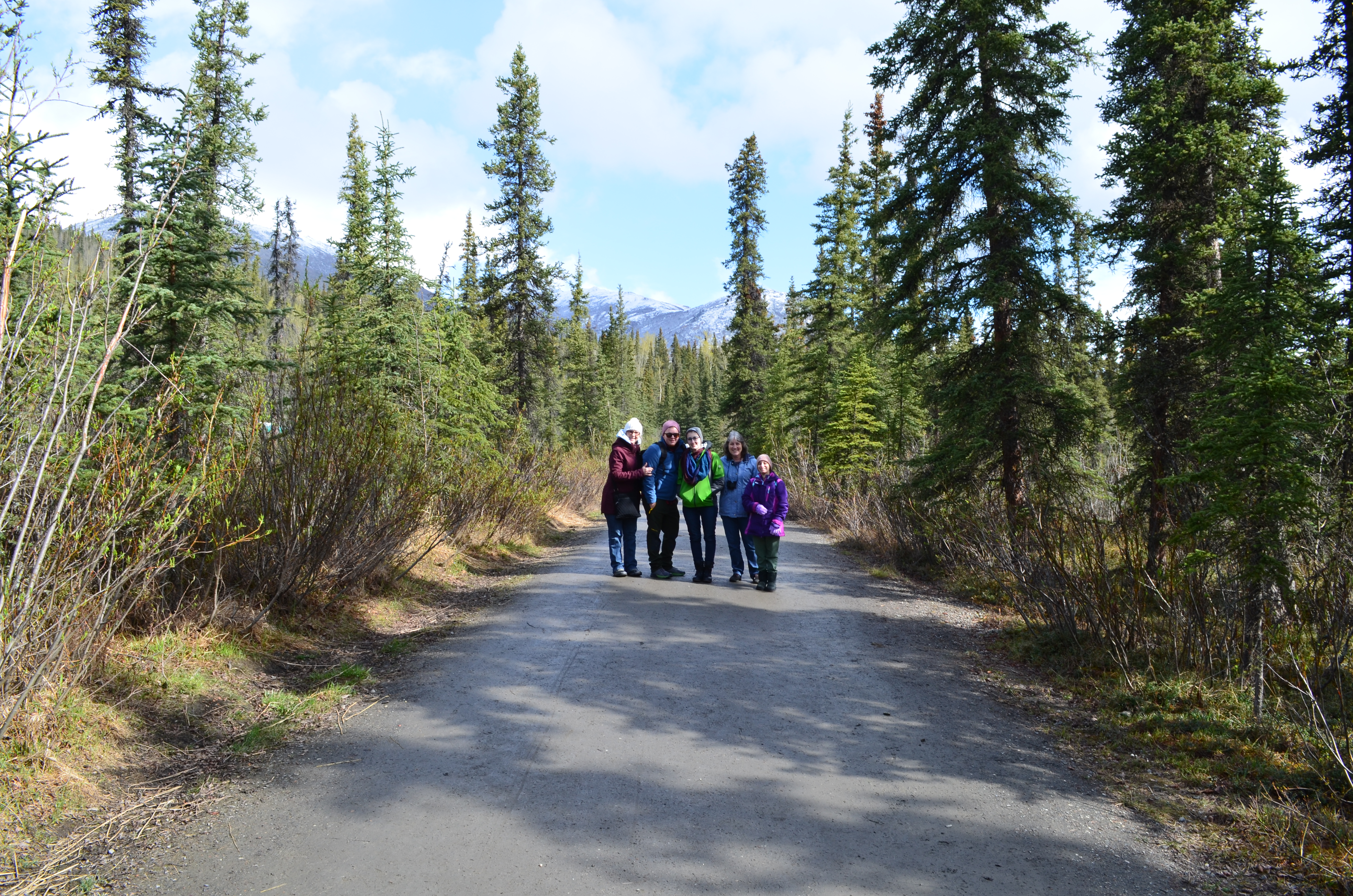 ./2017/08 - Alaska Cruise/03 - Denali/DSC_0317.JPG